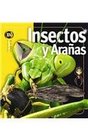 Insectos y aranas/ Insects and Spiders