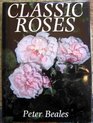 Classic roses An illustrated encyclopaedia and grower's manual of old roses shrub roses and climbers
