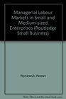 Managerial Labour Markets in Small and MediumSized Enterprises