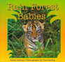 Rain Forest Babies