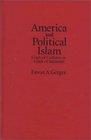 America and Political Islam  Clash of Cultures or Clash of Interests