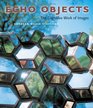 Echo Objects The Cognitive Work of Images
