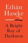 A Bright Ray of Darkness A novel