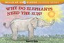 Why Do Elephants Need the Sun