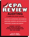 CPA Review Auditing 20002001