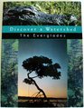 Discover a Watershed  The Everglades