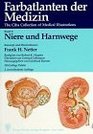 Farbatlanten der Medizin Bd2 Niere und Harnwege