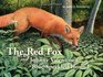 The Red Fox and Johnny Valentine's BlueSpeckled Hound