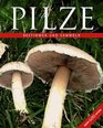Das groe Buch der Pilze