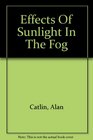 Effects Of Sunlight In The Fog