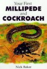 Your First Millipede and Cockroach
