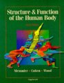 Structure  Function of the Human Body