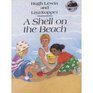 A Shell on the Beach