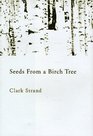 Seeds from a Birch Tree Writing Haiku and the Spiritual Journey