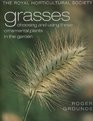 Grasses Choosing and Using These Ornamental Plants in the Garden