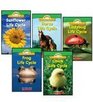 Life Cycles Science Vocabulary Readers 5Book Set Chick Life Cycle Frog Life Cycle Horse Life Cycle Ladybug Life Cycle and Sunflower Life Cycle