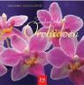 Zauberhafte Orchideen
