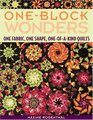 OneBlock Wonders One Fabric One Shape OneofaKind Quilts