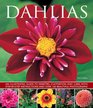 Dahlias An Illustrated Guide To Varieties Cultivation And Care With StepByStep Instructions And Over 160 Beautiful Photographs