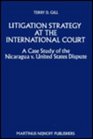 Litigation Strategy at the International Court