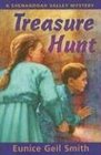 Treasure Hunt: A Shenandoah Valley Mystery