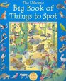 The Usborne Big Book of Things to Spot (1001 Things to Spot)