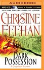 Dark Possession (Dark Series)