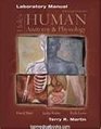 Human Anatomy  Physiology