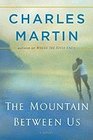 The Mountain Between Us (Large Print)