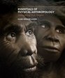 Essentials of Physical Anthropology Discovering Our Origins