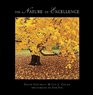 The Nature of Excellence Classic Edition