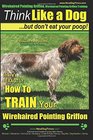 Wirehaired Pointing Griffon Wirehaired Pointing Griffon Training  Think Like a Dog But Don't Eat Your Poop  Wirehaired Pointing Griffon Breed  Your Wirehaired Pointing Griffon