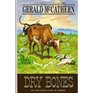 Dry Bones  The Continuing Story of Ceebara