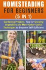 Homesteading for Beginners (5 in 1): Gardening Projects, Tips for Growing Vegetables and Many Other Useful Techniques to Become Self-Sufficient (Off the Grid & Sustainable Living)