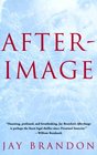 Afterimage (Chris Sinclair, Bk 2)