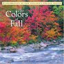 The Colors of Fall A Celebration of New England's Foliage Season