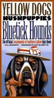 Yellow Dogs Hushpuppies and Bluetick Hounds The Official Encyclopedia of Southern Culture Quiz Book
