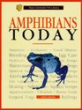Amphibians Today A Complete and UpToDate Guide