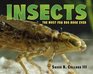 Insects The Most Fun Bug Book Ever