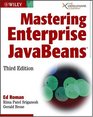 Mastering Enterprise JavaBeans 3rd Edition