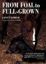 From Foal to FullGrown