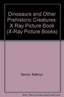 Dinosaurs and Other Prehistoric Creatures X Ray Picture Book