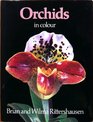 Country Life Book of Orchids