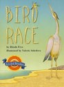 Bird Race (Houghton Mifflin Leveled Readers)