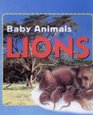Baby AnimalsLions