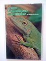 All About Chameleons and Anoles/Ps310