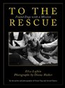 To the Rescue Found Dogs with a Mission