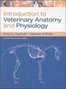 Introduction to Veterinary Anatomy  Physiology
