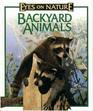 Backyard Animals