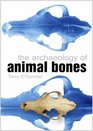 The Archaeology of Animal Bones